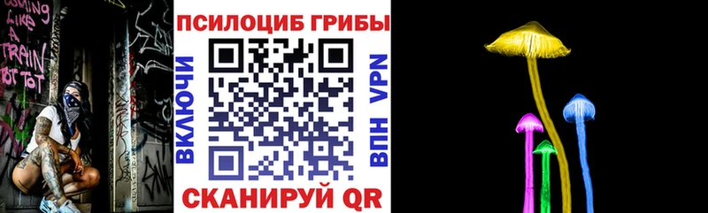 Псилоцибиновые грибы Cubensis  Апрелевка 