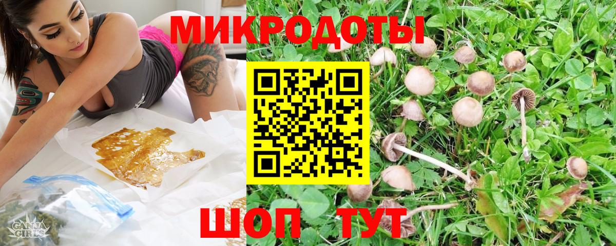 Галлюциногенные грибы Cubensis Апрелевка