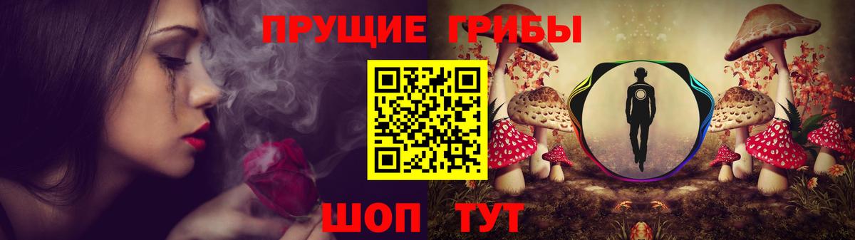 Апрелевка  Псилоцибиновые грибы GOLDEN TEACHER  Псилоцибиновые грибы мицелий  Вход с VPN 