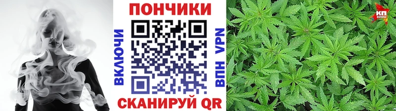 MEGA маркетплейс  Апрелевка  Бошки Шишки AK-47 